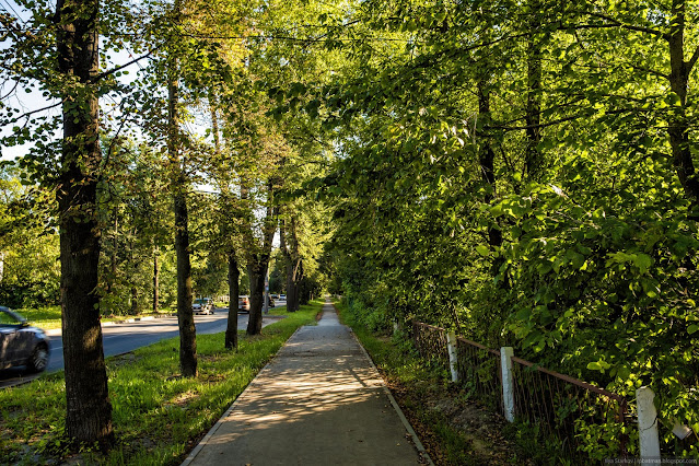 Пешеходная дорожка в тени деревьев, вдоль дороги