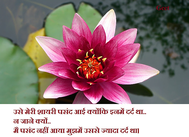 Images Dard Bhari Shayari In Hindi