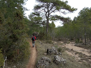 Arroyo de la Rambla