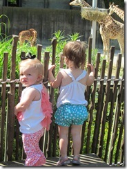 zoo 014