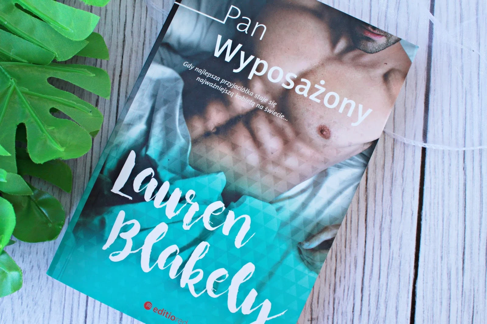 Lauren Blakely "Pan Wyposażony" - recenzja