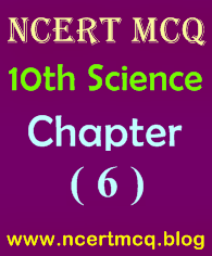 Science MCQ, Class 10th, Chapter-6, Control and Coordination