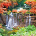 Flower Garden Dreamy Waterfall Wallpaper