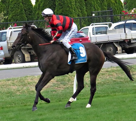 race 5 _love days 6