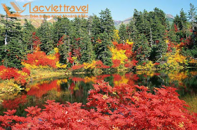 Mùa thu lá đỏ ở công viên quốc gia Daisetsuzan