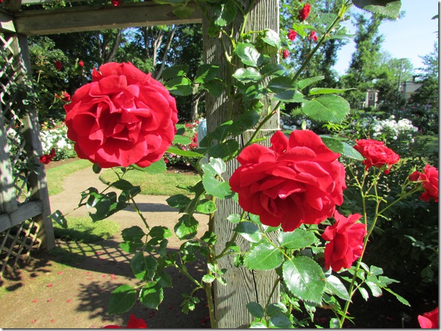 Historic Gardens in Annapolis-Royal, NS