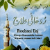 Rohani Ilaj Book By Khwaja Shams Uddin Free Download