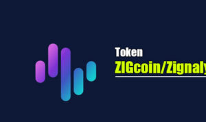 Zigcoin/Zignaly, ZIG Coin