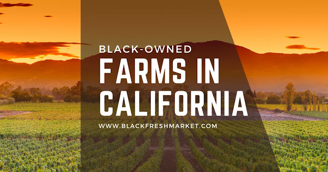Black Owned Farms In California