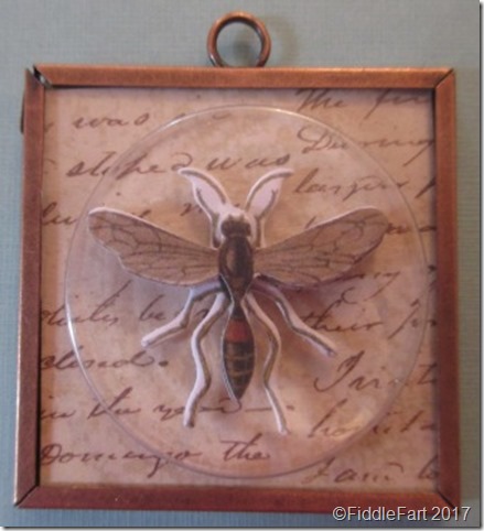 Insect Memory Frame Pendant 1 Insect Memory Frame Pendant 1