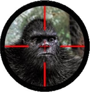 http://www.spike.com/articles/xpekll/bigfoot-bounty-the-10-million-dollar-bigfoot-bounty-is-on