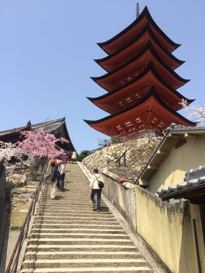 Travelog Japan, Spring Musim Bunga di Miyajima Japan