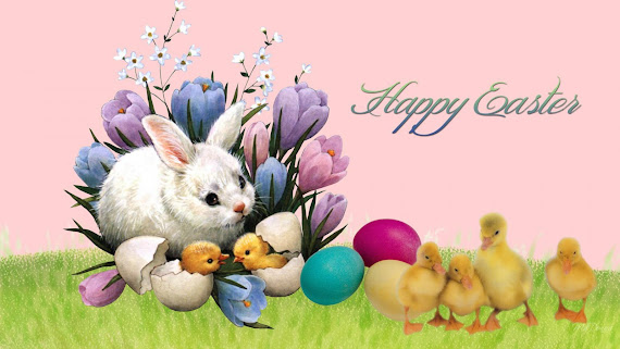 Uskrs besplatne pozadine za desktop 1600x900 slike čestitke blagdani zec pilići free download Happy Easter