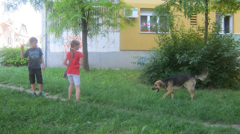 I OČEVI SU RODITELJI