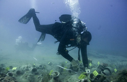 Treasury hidden at the bottom of the sea at Albanian shores, objects dating back to the 8th century BC