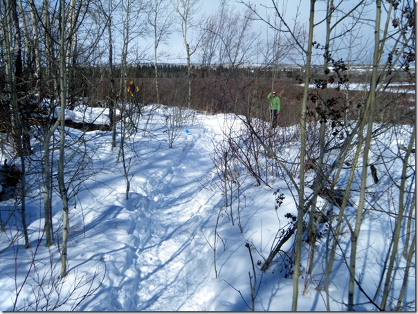 DSCF3182
