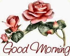 g morning