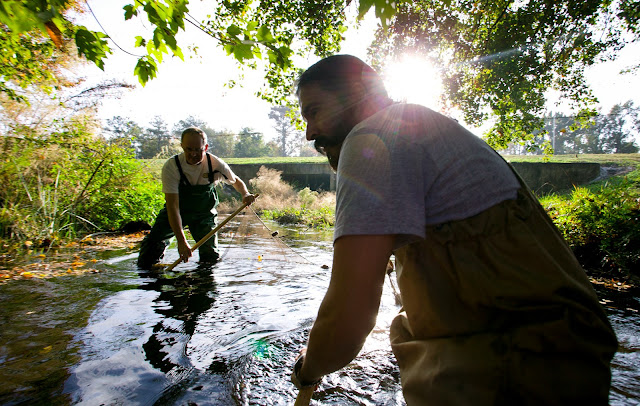  An international squad of researchers has outlined a programme for how to mensurate changes inwards ke For You Information - Study provides roadmap for measuring animal, found traits to run into biodiversity goals