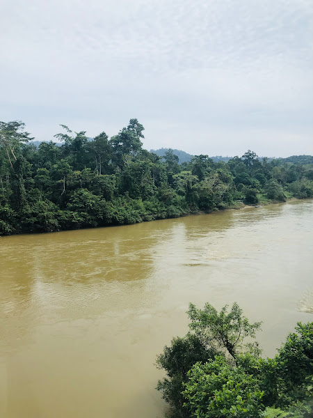 Train To Jerantut