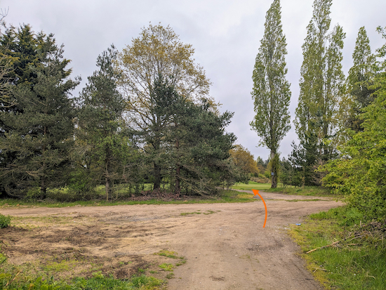 Cross the track then continue for 20m to a fairway