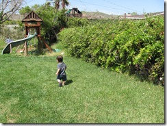 IMG_0185 (6)