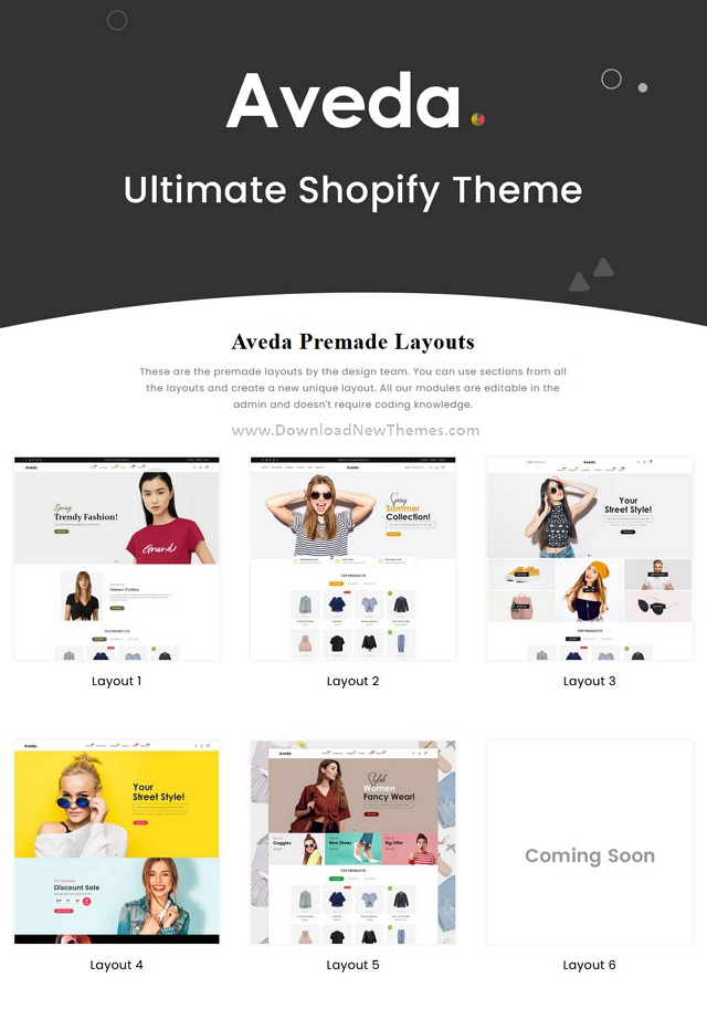 Best Sectioned Multipurpose Shopify Theme