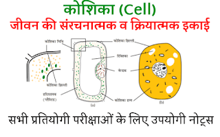 koshika or uske prakar