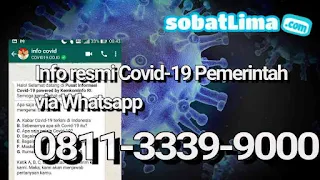 website info corona,korban corona,jumlah kematian corona,wa info corona,info resmi covid19 whatsapp