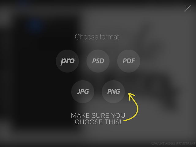 Use the PNG option to export your file procreate to Silhouette studio