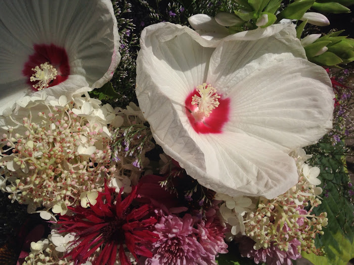 Flowers from the Manotick Horticultural Society