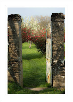 french gate, quince bushes, back garden in france,