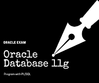 Oracle Database 11g: Program with PL/SQL Exam