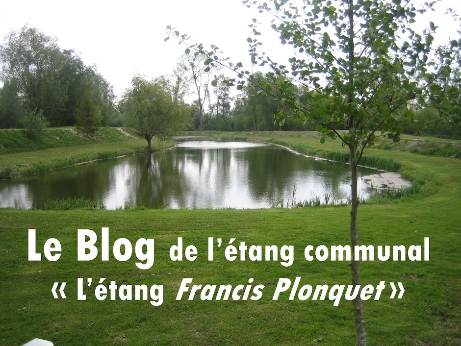 Le blog de l'Etang communal d'Aulnois sous Laon