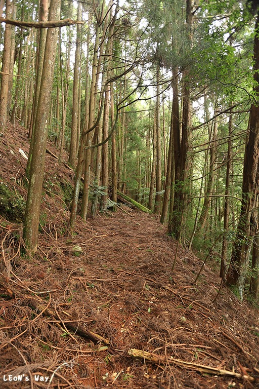 blog_021
