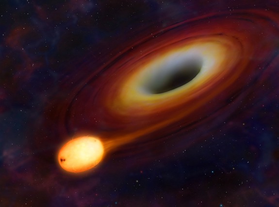 Black Hole Devouring Star