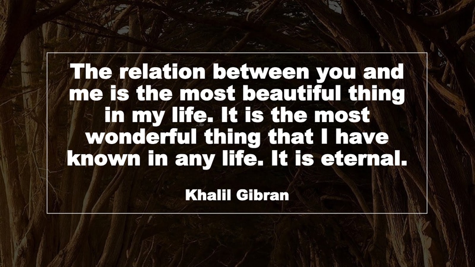 The relation between you and me is the most beautiful thing in my life. It is the most wonderful thing that I have known in any life. It is eternal. (Khalil Gibran)