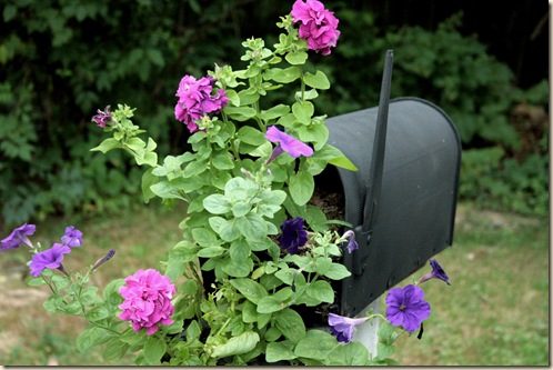 MailboxPlanter_July28