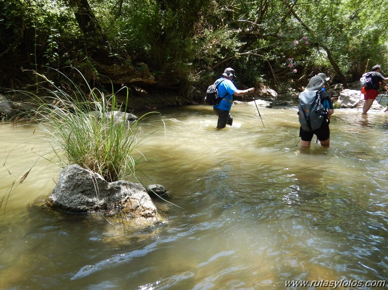 Acuática Benaoján - Jimera de Líbar por el río Guadiaro