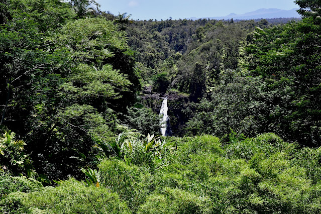 Akaka Falls, Hilo Big Island Akaka Falls, Hilo Photographer Sarah Bello