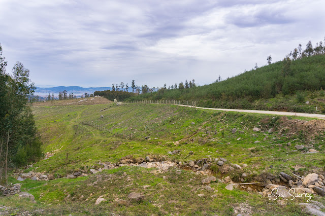 Ruta por el Monte Galiñeiro