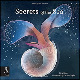 Review of Secrets of the Sea, sea life, ocean creatures, plankton