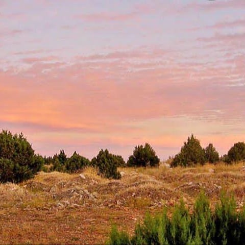 Paisaje al atardecer en Iruecha, Soria