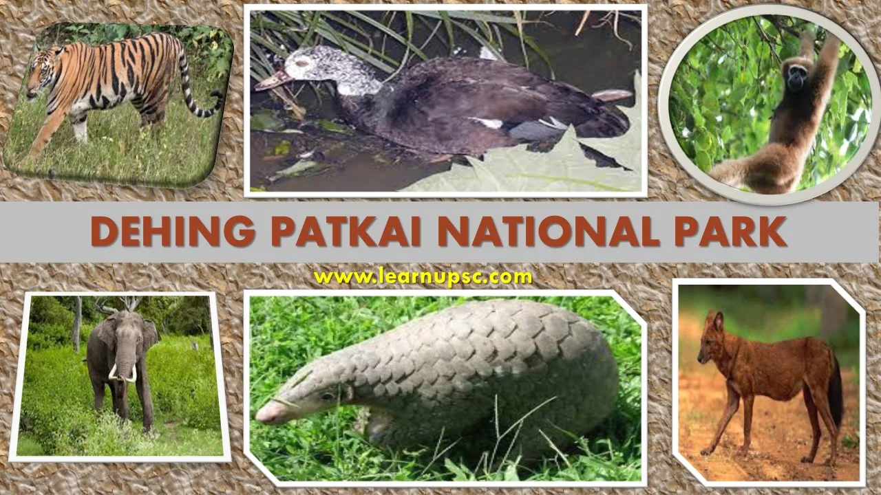 Dehing Patkai National Park
