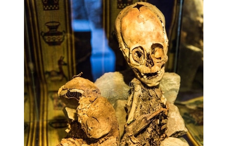 La momia extraterrestre en Cusco