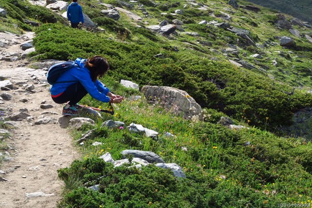  the walk from Blauherd to Stellisee