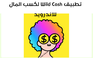 تنزيل تطبيق Wild Cash أحدث إصدار 2023 لكسب المال للموبايل