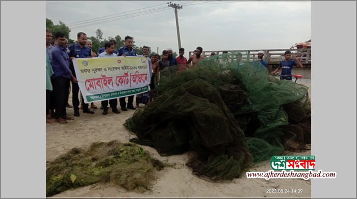 তাড়াইলে ভ্রাম্যমাণ আদালতের অভিযান, রিং ও কারেন্ট জাল ধ্বংস