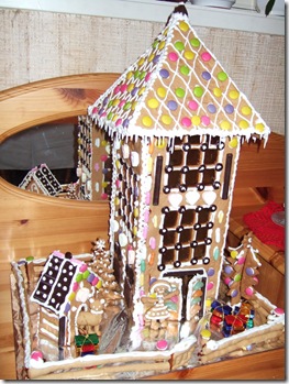 2007_12300046minder