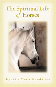 The Spiritual Life of Horses