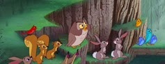 10 les animaux de la forêt